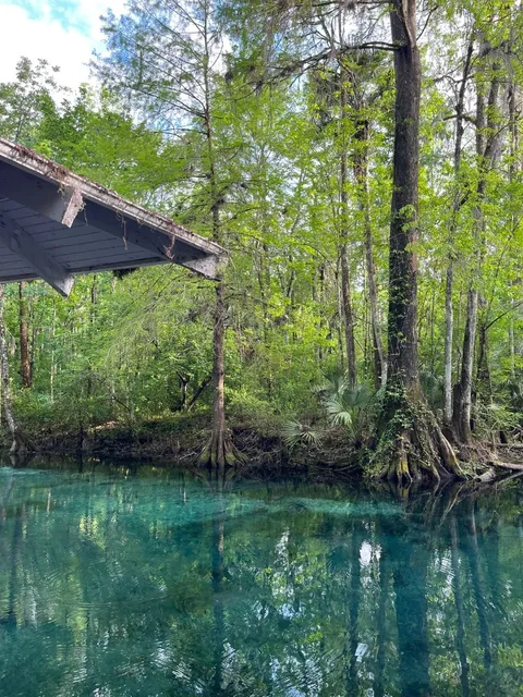 Tampa | Glass-Bottom Boat & Forest Hiking – Absolutely Unreal! 🤩