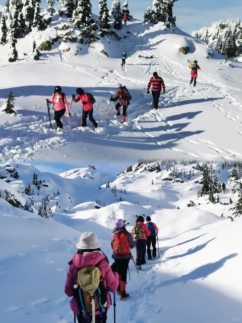 Stepping into a World of Ice and Snow 