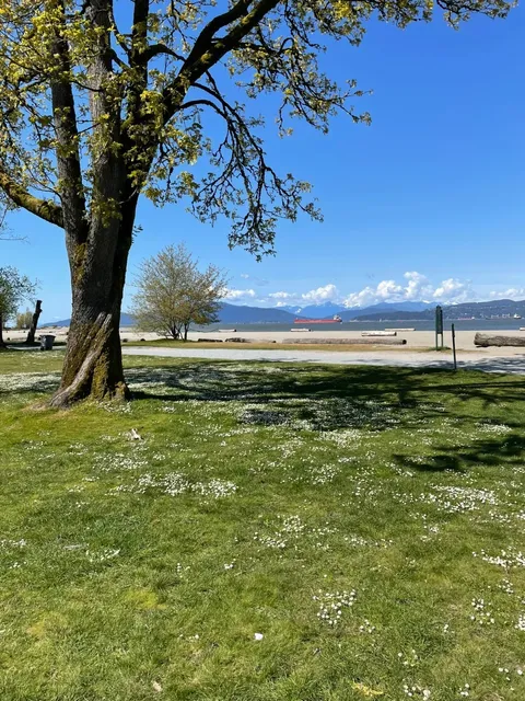 Spanish Banks in Vancouver 🌊🏖️
