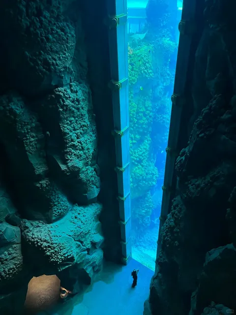 Visa-Free! Abu Dhabi is the Ultimate Romantic Destination in the Middl