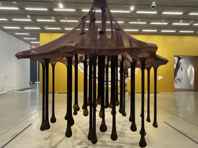 Pérez Art Museum Miami: A Gem by the Sea ✨