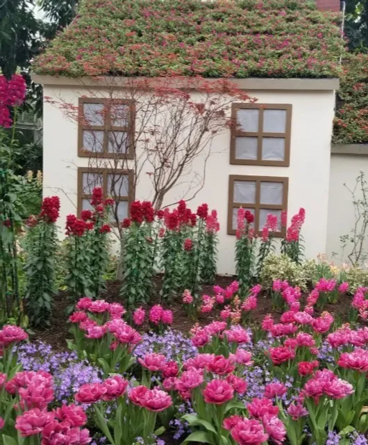 🌷 Phipps Conservatory and Botanical Garden 