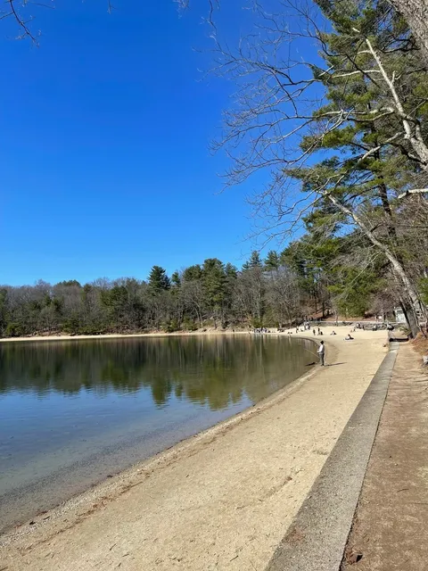 Walden Pond in Concord, MA: An Immersive Spring Experience 