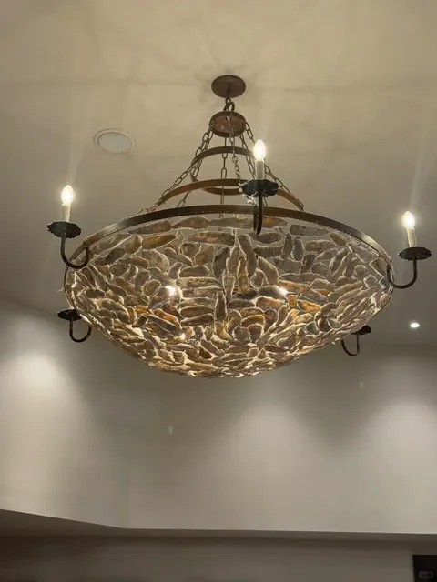 New Orleans: The City of Oysters & Jazz 🇺🇸🎷