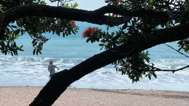 Discovering Auckland’s Other Side – Takapuna Beach 🌊🐚