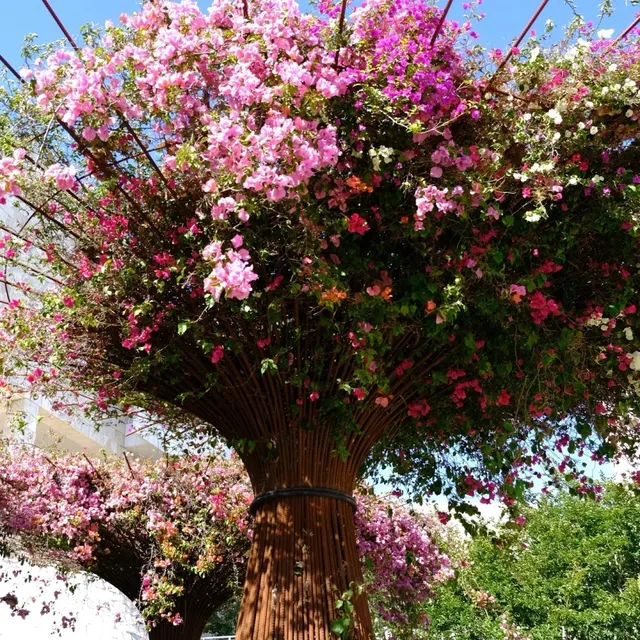 ​​The Getty Center | LA's Architectural Masterpiece 🏛️✨​​