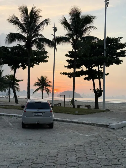 São Paulo 🇧🇷 | Best Spots for Seafood & Oyster Hunting