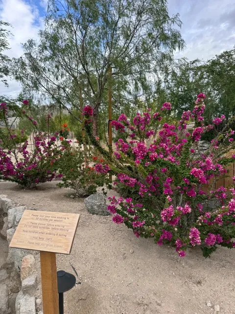 🤩 Hidden Gem: A Weekday Private Hot Spring Retreat Near LA!