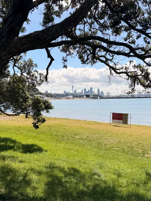 What to Do in Auckland Summer? 🐚