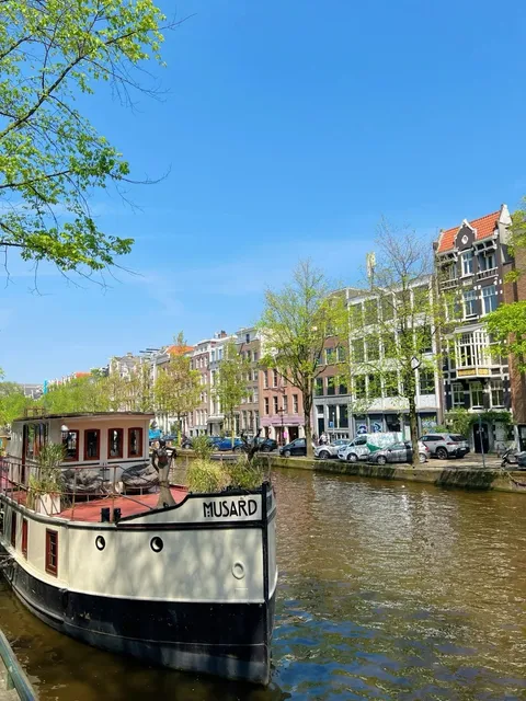 🇳🇱 4-Day Dutch Spring Fairytale | Tulips, Canals & Whimsy