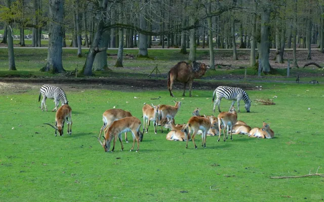 Where to go for a weekend in Paris?