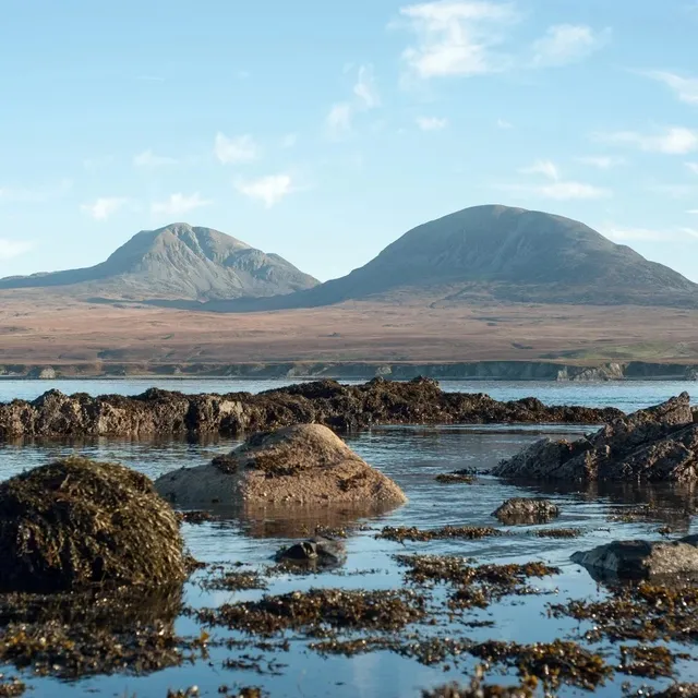 Swansea Day Trip Guide | Experience the Charm of a Welsh Coastal Town