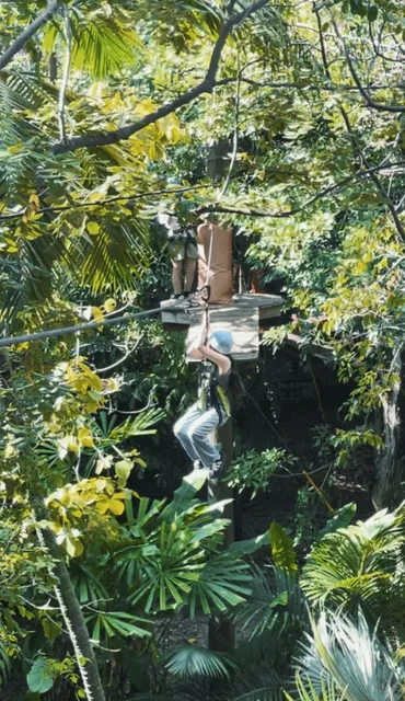 ​​Treetop Adventure at Jungle Island | Ultimate Zipline Challenge​​ 🌳
