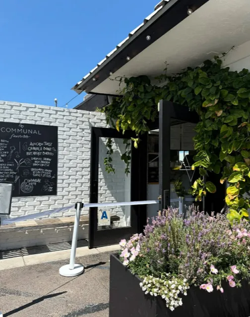 Pet-Friendly! San Diego’s Cafe with Amazing Vibes ☕