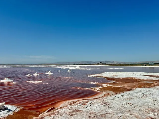 🇺🇸 San Jose’s Pink Salt Lake｜Alviso Marina