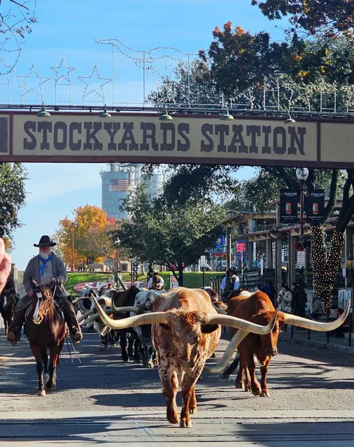 Dallas, USA | Fort Worth Stockyards Guide