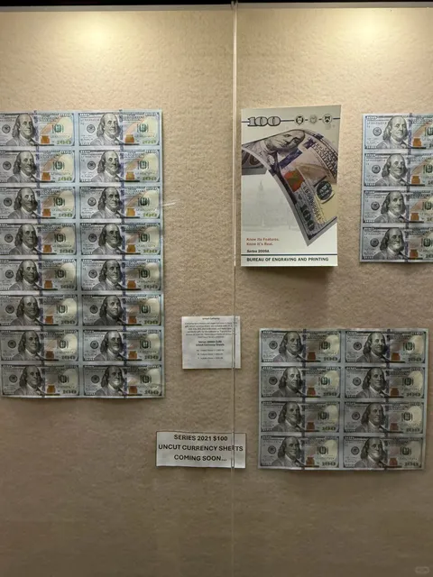   Let the Money Flow from All Directions! 💵✨