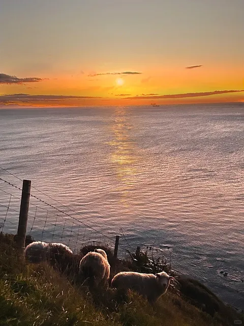 Wellington’s Most Stunning Sunset Hike 🌅 | Paekākāriki Escarpment Tra