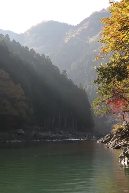 Autumn in Arashiyama 🍂