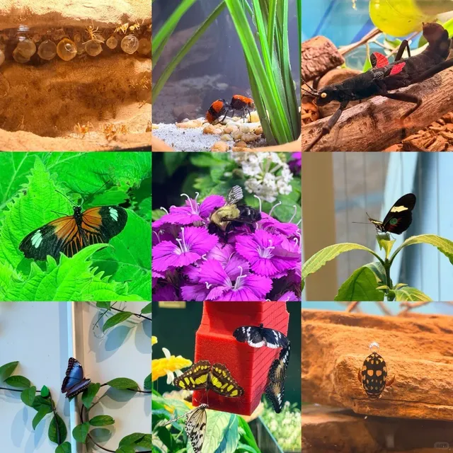 🍹 NOLA | The Ultimate 5-Day 6-Night New Orleans Guide 💥