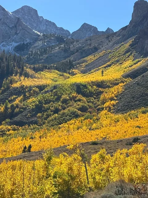 Highway 395 Series: Your Guide to Experiencing Fall at McGee Creek 🍂