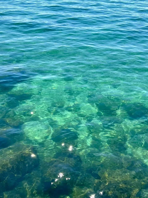 Burlington Food & Strolls