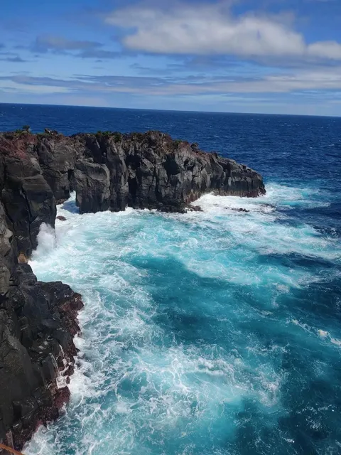 🌿🍃 Izu Travel 🌸