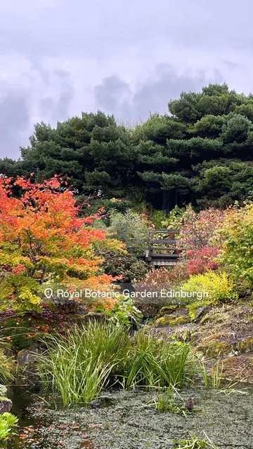 A Day of Sketching at the Royal Botanic Garden Edinburgh
