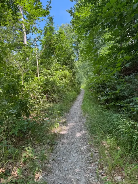 🇩🇪 Stuttgart Hiking Adventure | A Cautionary Tale 🥵🥾