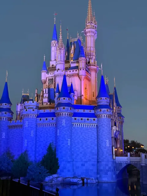 Orlando Disney World🎠