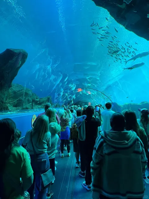 🇺🇸 Atlanta Travel Guide 🌇