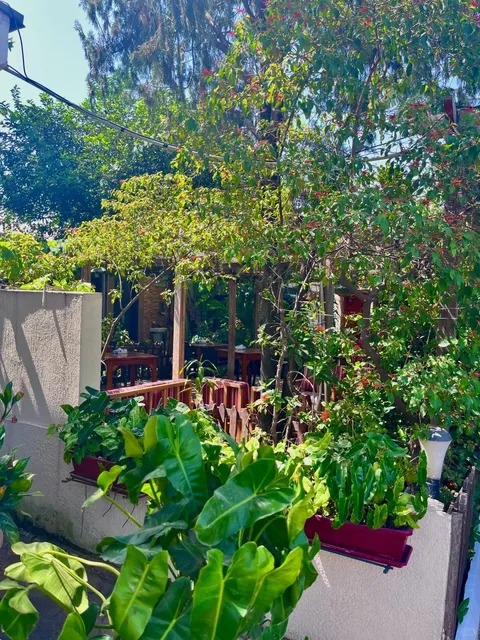 🇳🇬 Weekend Dining Gem ‖ Cityview Restaurant, Abuja!