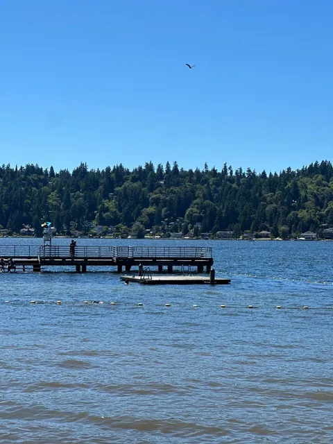 Parks Around Bellevue 🏟️ 🐬 🌴 