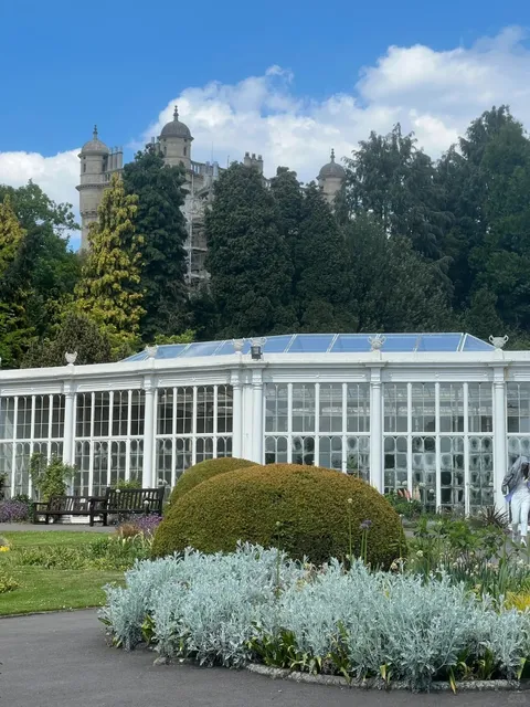 🇬🇧 Nottingham's Deer Park: A Summer Sanctuary for Bookish Souls