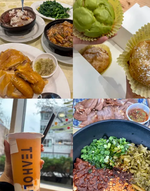 ✧ Thanksgiving Daily Plog｜Back in Boston for a Foodie Trip 𖠚ᐝ