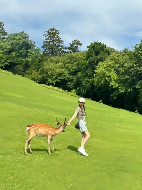 🗾🍣🌸 Great Unveiling of Japanese Charm! 🌸🍣🗾