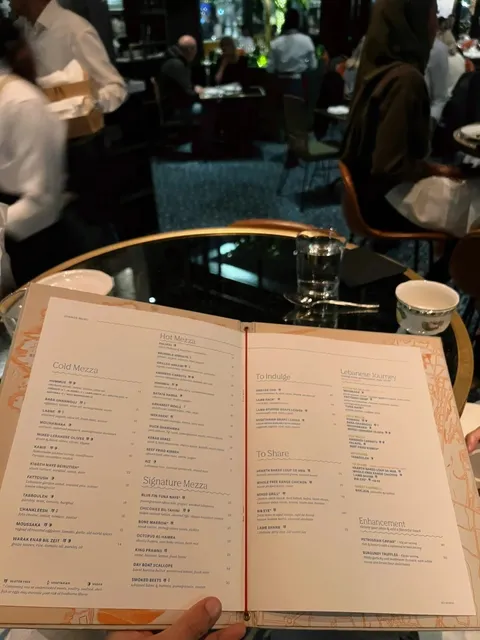 ilili DC | A Culinary Journey Through Lebanese Flavors 🇱🇧