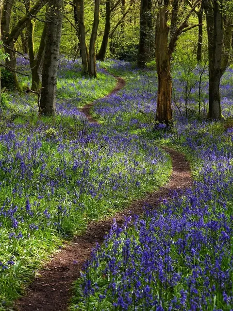 🇬🇧 Shropshire 💚 A Hidden Gem for Introverts to Escape the World