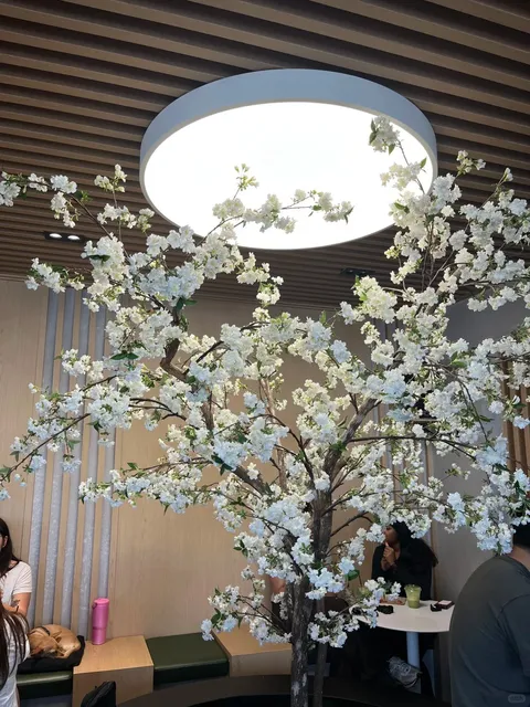 LA Café Review | Actually Worth the Hype! ☕️