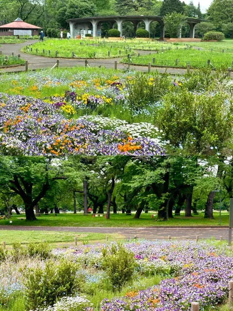 Tokyo | Japanese Aesthetic Architecture: A Step Back to the Edo Era 🌟
