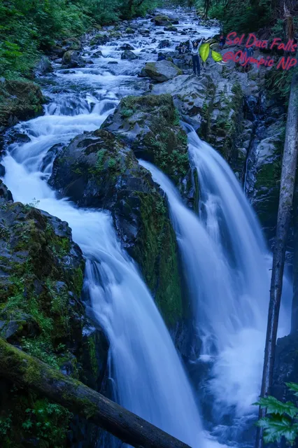 Washington State | Must-Visit Spots in Olympic National Park