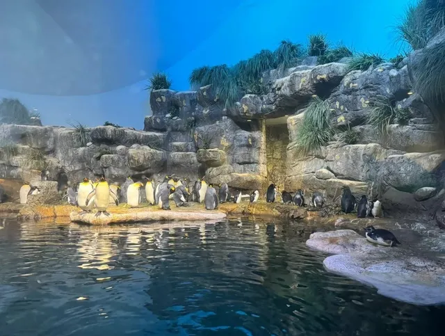 🌴 Houston | Complete Guide to Moody Gardens