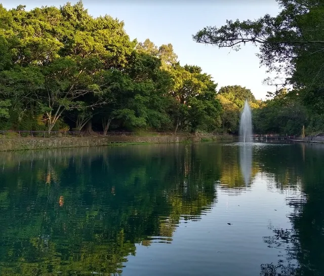 Cuernavaca's Green Oasis