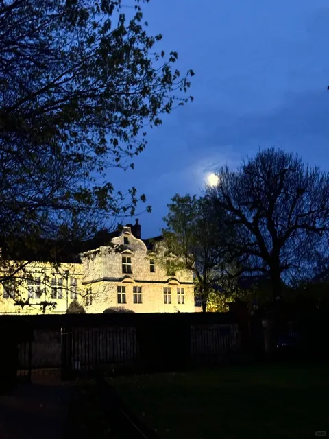 York ❄️ You're Absolutely Magical!!! 🪄🪄🪄