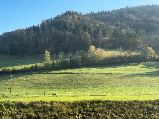 🇩🇪 49-Euro Ticket Adventure | Chapter 1: Freiburg