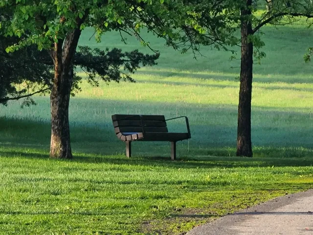 🌿🌅 Morning Snapshots at Calgary’s Confederation Park! 🌳✨