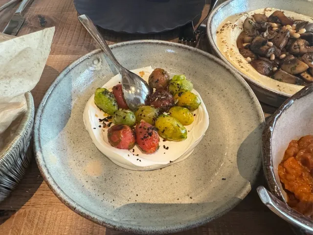 Houston Weekend Delight: Persian Cuisine at Rumi’s Kitchen ❤️