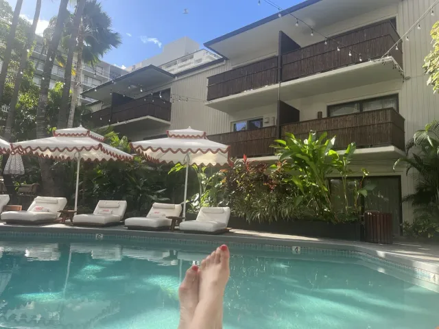 I’ll Be Back to White Sands! 🌺