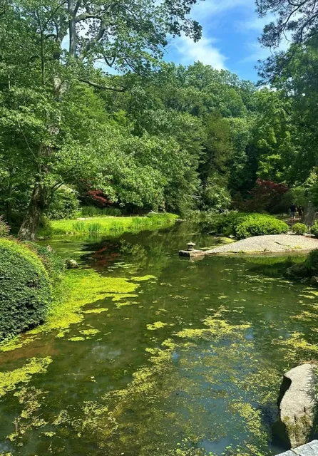 🎋 Maymont Japanese Garden | A Serene Masterpiece in Richmond
