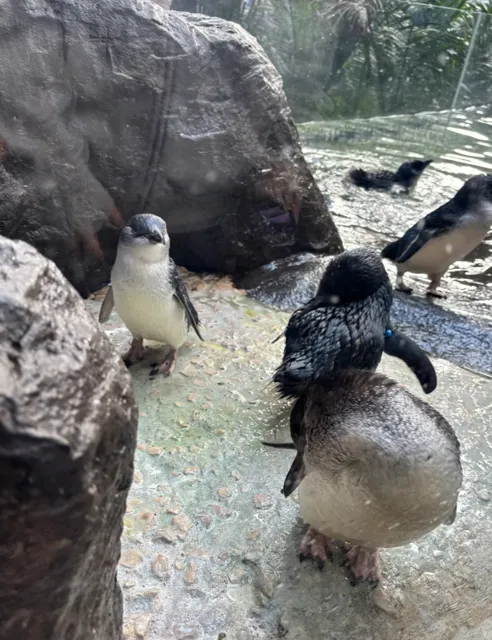 Dallas 2-Day Itinerary